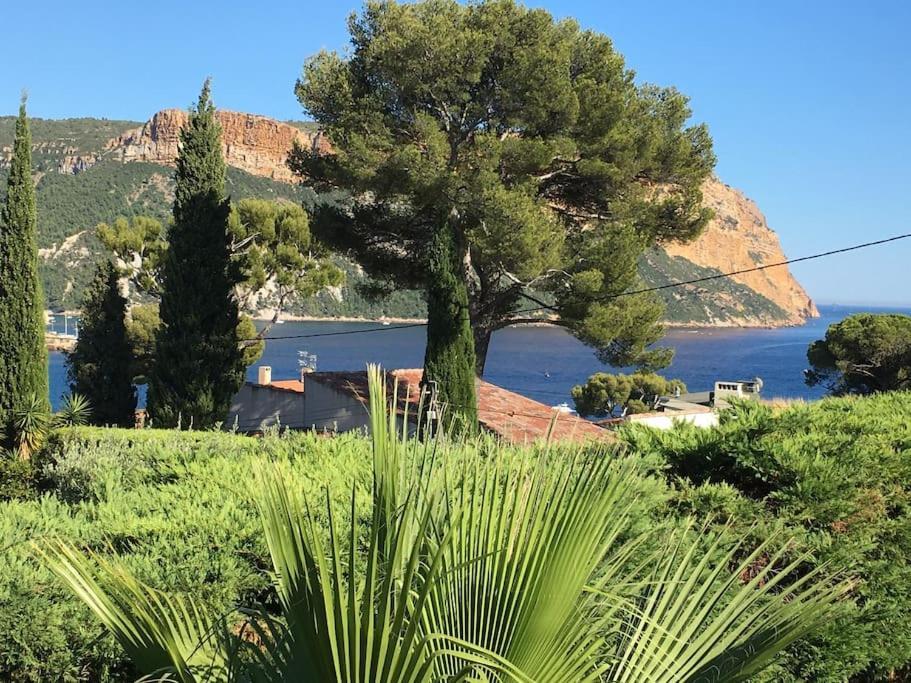 Cassis Calanques, 2 Pieces Grande Terrasse Vue Mer Kültér fotó